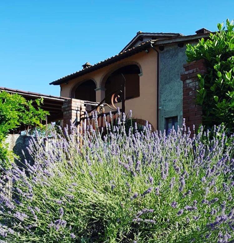 Penna Il Casolare Bed & Breakfast エクステリア 写真