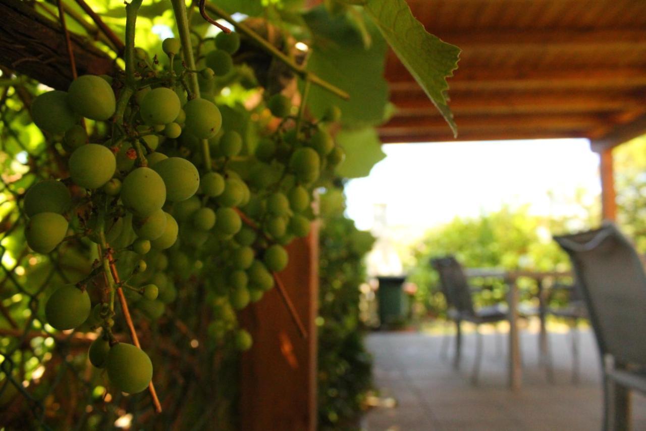 Penna Il Casolare Bed & Breakfast エクステリア 写真
