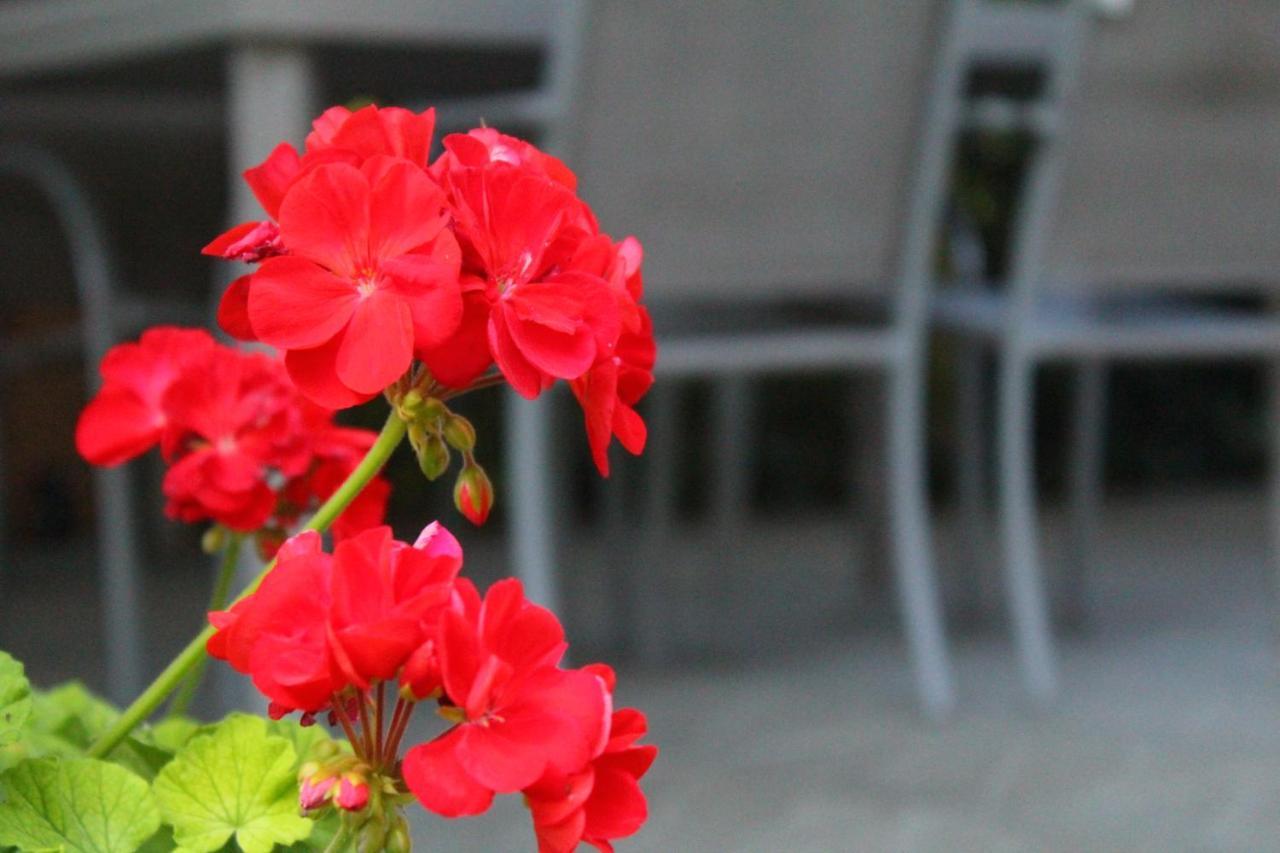 Penna Il Casolare Bed & Breakfast エクステリア 写真